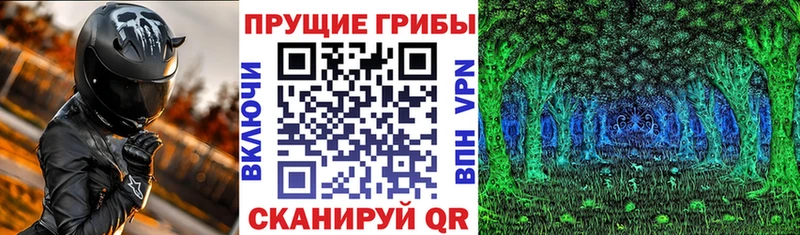 Галлюциногенные грибы прущие грибы  Купить где  Светлоград 